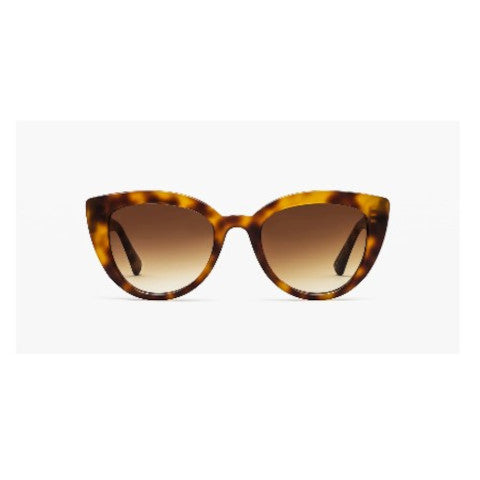 Jimmy Fairly The Level Up Sunglasses display picture 1