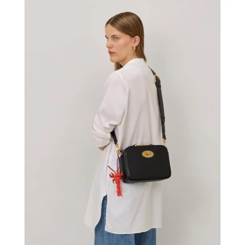 Mulberry Darley Camera Bag