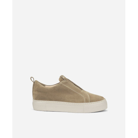 AGL Clementina Sneaker in Taupe Suede
