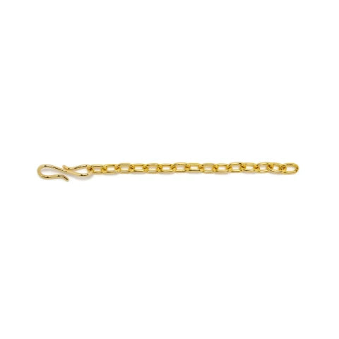 Lizzie Fortunato 6.5 Inch Necklace Extender