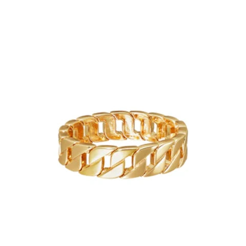 Roxanne Assoulin Babe Link Bracelet